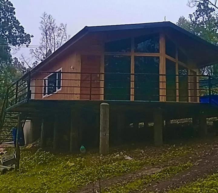 Teak